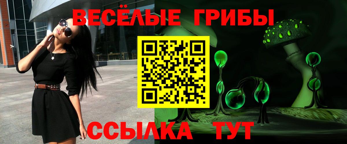 Псилоцибиновые грибы MAGIC MUSHROOMS  Вход с VPN  Еманжелинск  Псилоцибиновые грибы мухоморы 